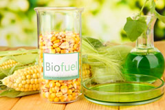 Tanygrisiau biofuel availability